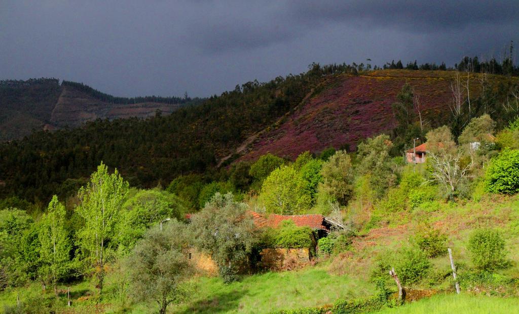 Quinta De Gildinho Βίλα Εξωτερικό φωτογραφία