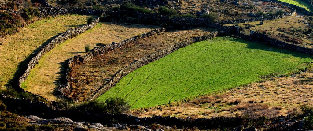 Quinta De Gildinho Βίλα Εξωτερικό φωτογραφία